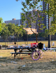 Making It Easier for New Yorkers to Care for Their Parks